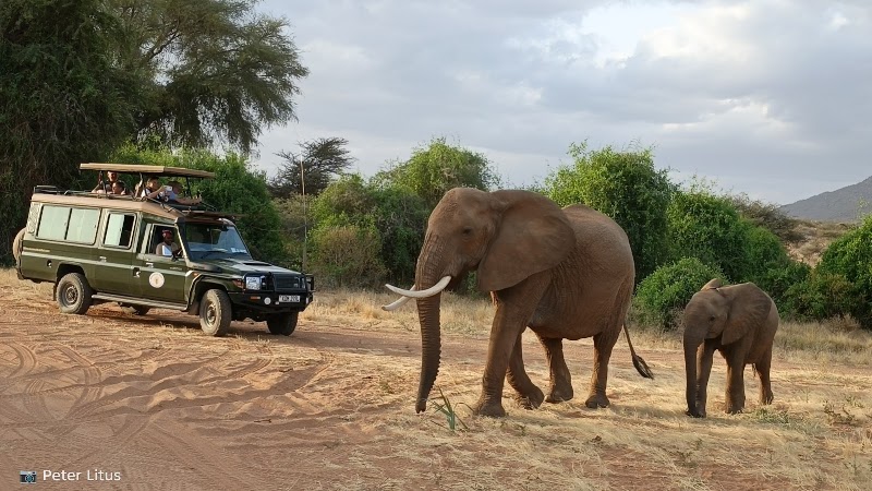Samburu National Reserve in 