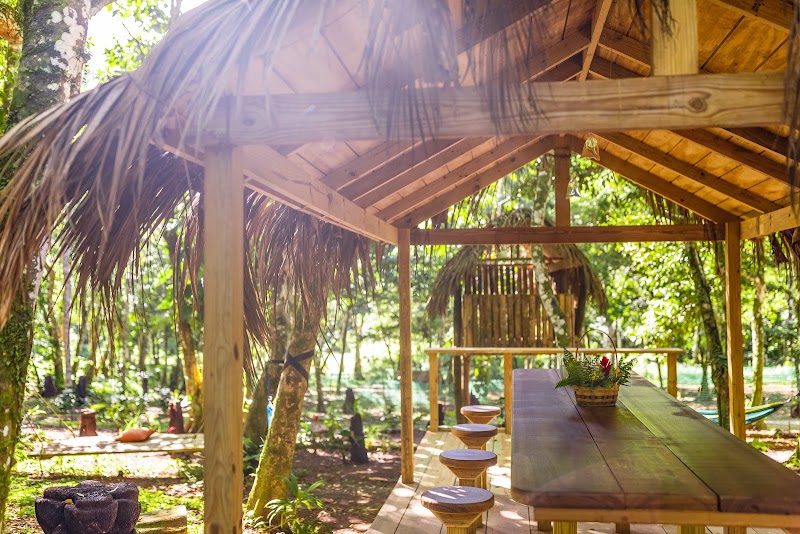 Liamuiga Natural Farm - St.Kitts' Coffee Farm in Molineux