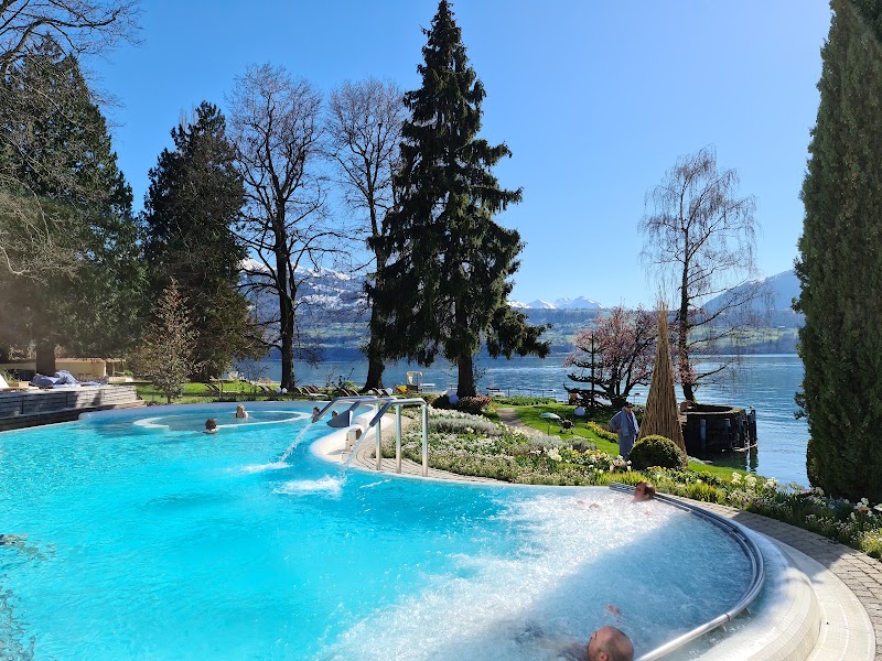 Photo 2 at BEATUS Wellness- & Spa-Hotel in Sigriswil