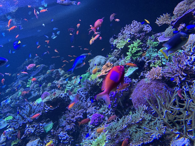 Photo 3 at Phillip & Patricia Frost Museum of Science in Miami