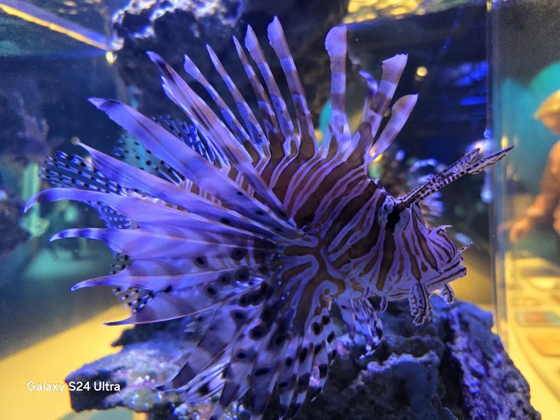 Photo 6 at Phillip & Patricia Frost Museum of Science in Miami