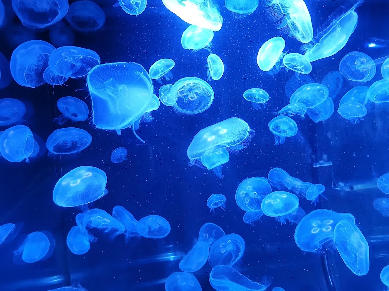 Photo 2 at Phillip & Patricia Frost Museum of Science in Miami