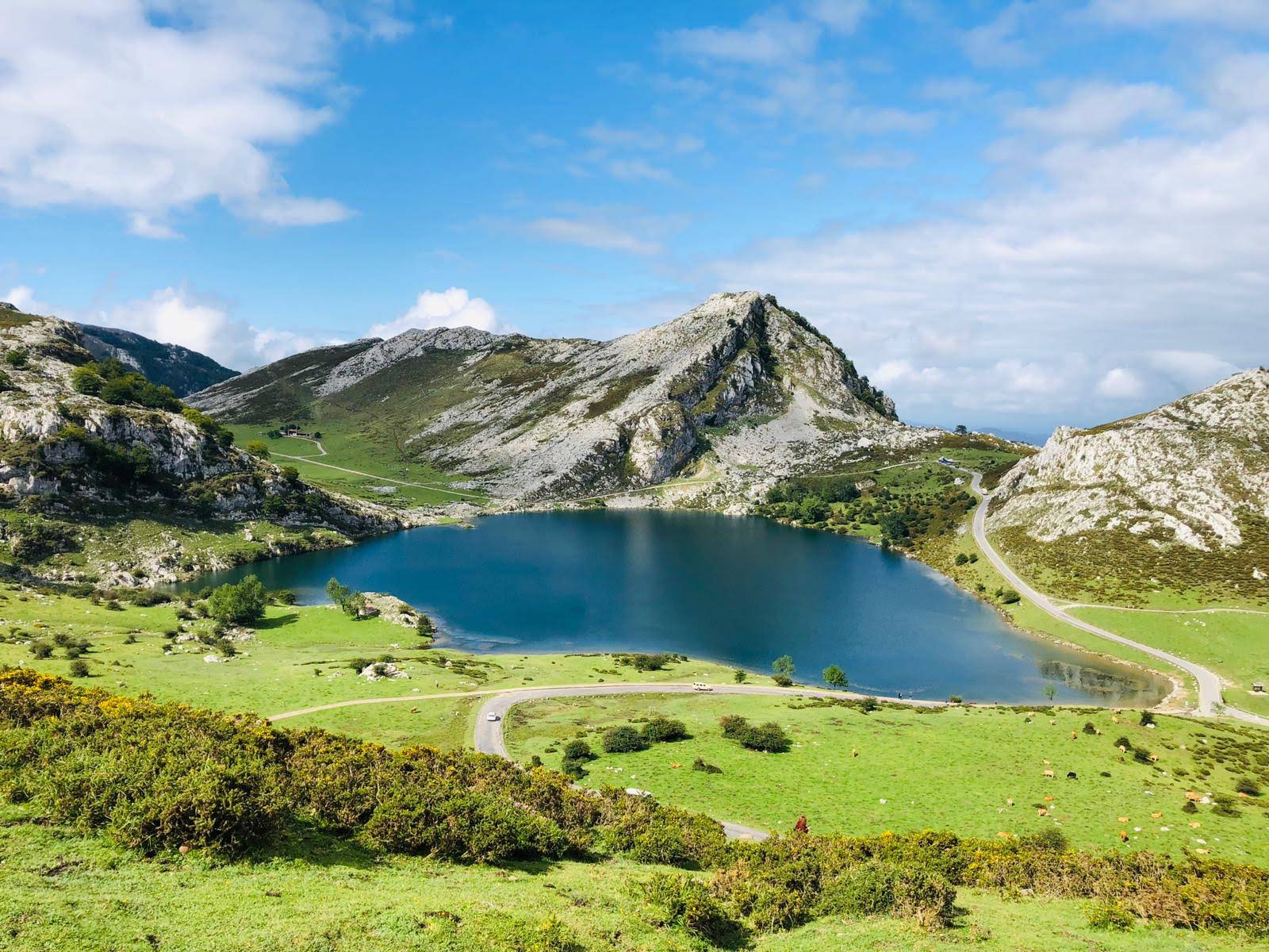 Picos de Europa National Park in Oviedo