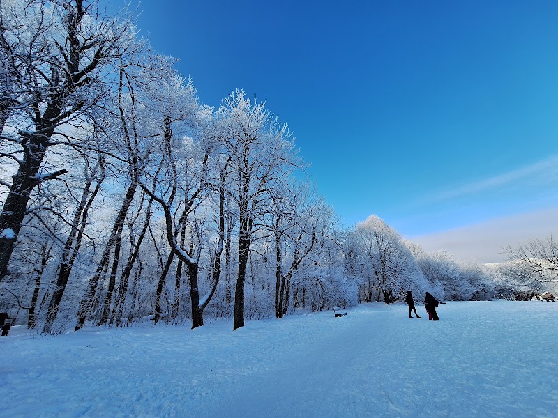 Photo 5 at Normafa Park in Budapest