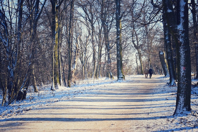 Photo 4 at Normafa Park in Budapest