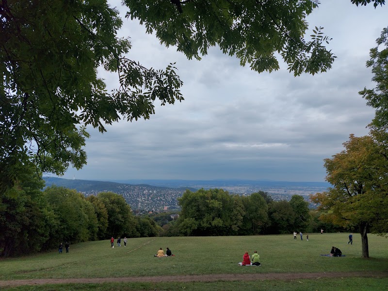 Normafa Park in Budapest