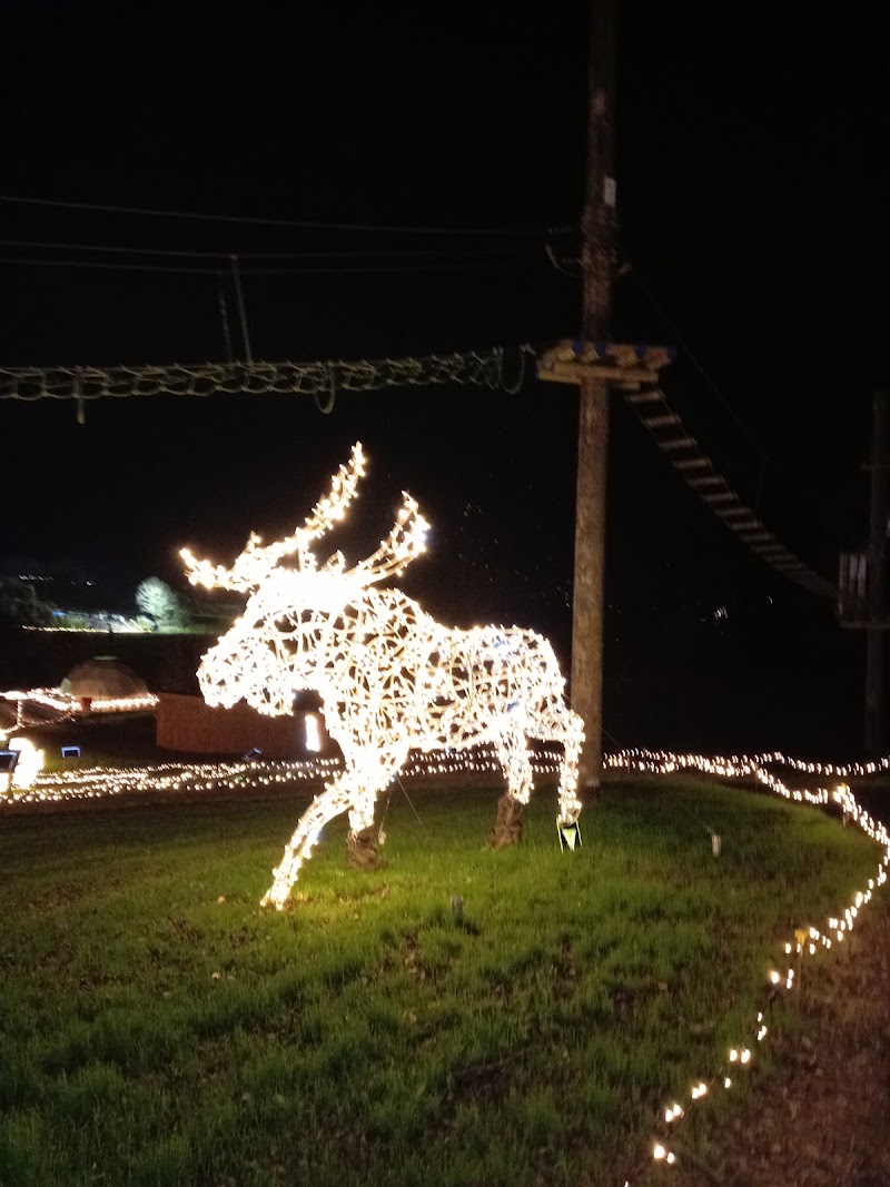 Photo 2 at Skypark of Carlingford in Carlingford