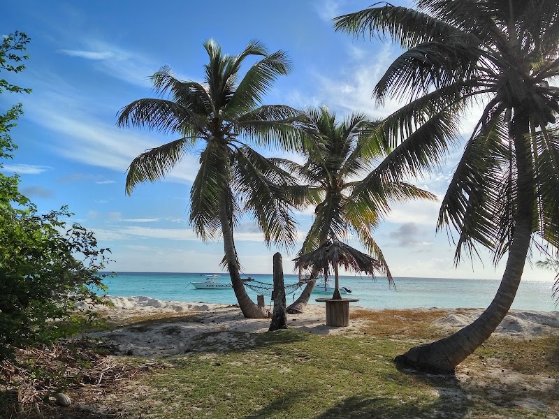 Photo 6 at Aldabra in 