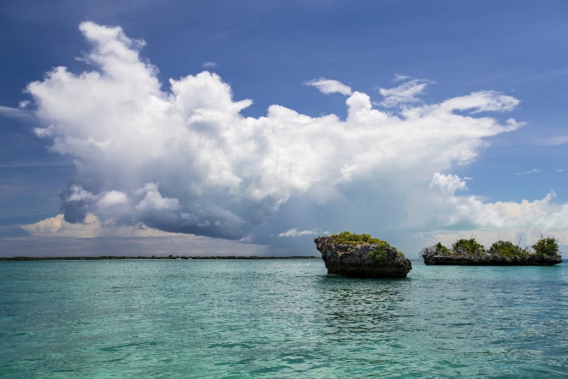 Photo 1 at Aldabra in 