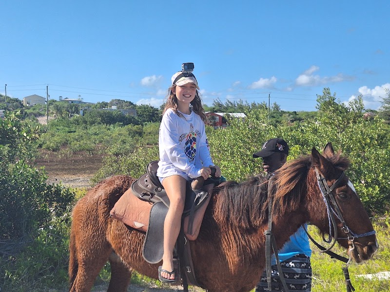Photo 4 at TCI Heritage Horseback Riding & Tours in 