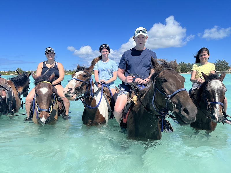 TCI Heritage Horseback Riding & Tours in 