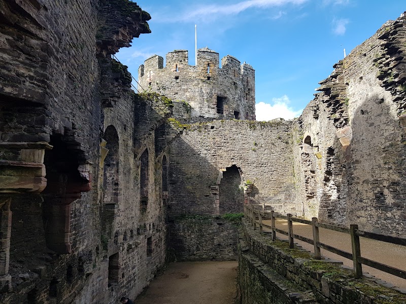 Photo 5 at Conwy Castle in Conwy