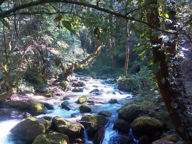 Shivapuri Nagarjun National Park in 