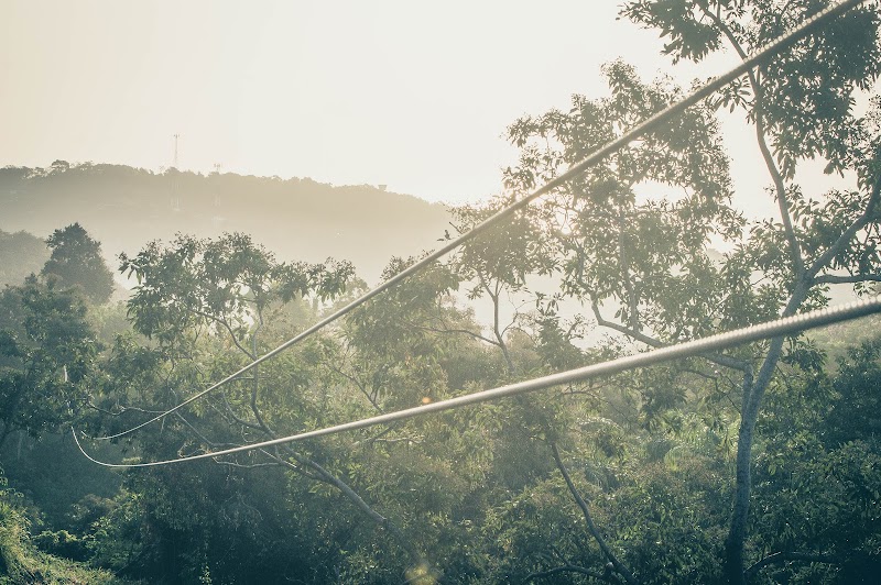 Photo 5 at King Kong Extreme Zipline in Coxen Hole