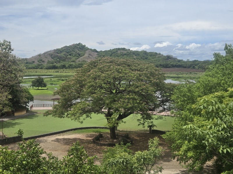 Photo 4 at Hacienda El Viejo Wetlands in 