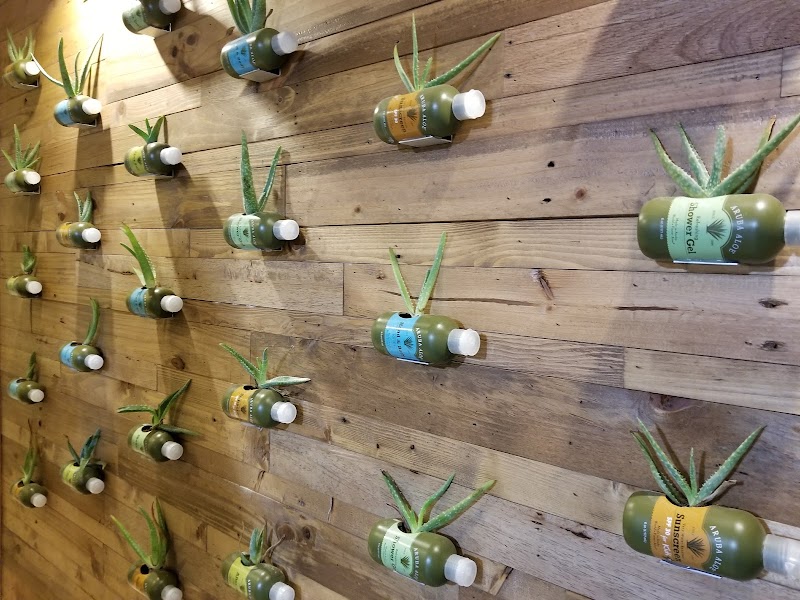 Photo 4 at Aruba Aloe Factory Museum and Store in Oranjestad