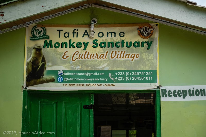 Photo 5 at Tafi Atome Monkey Sanctuary And Cultural Village in Tafi