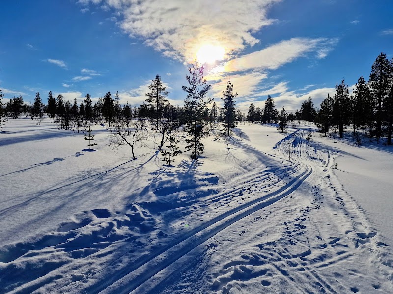 Photo 4 at Urho Kekkonen National Park in Saariselkä