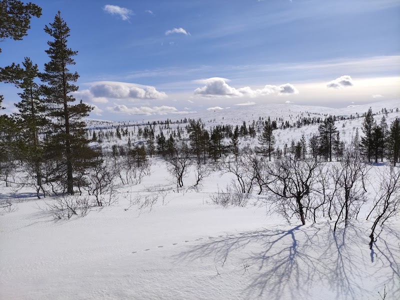 Photo 3 at Urho Kekkonen National Park in Saariselkä