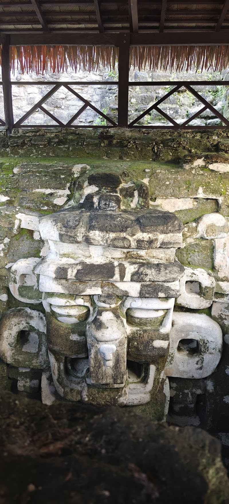 Photo 1 at Templo del Gran Jaguar in Tikal