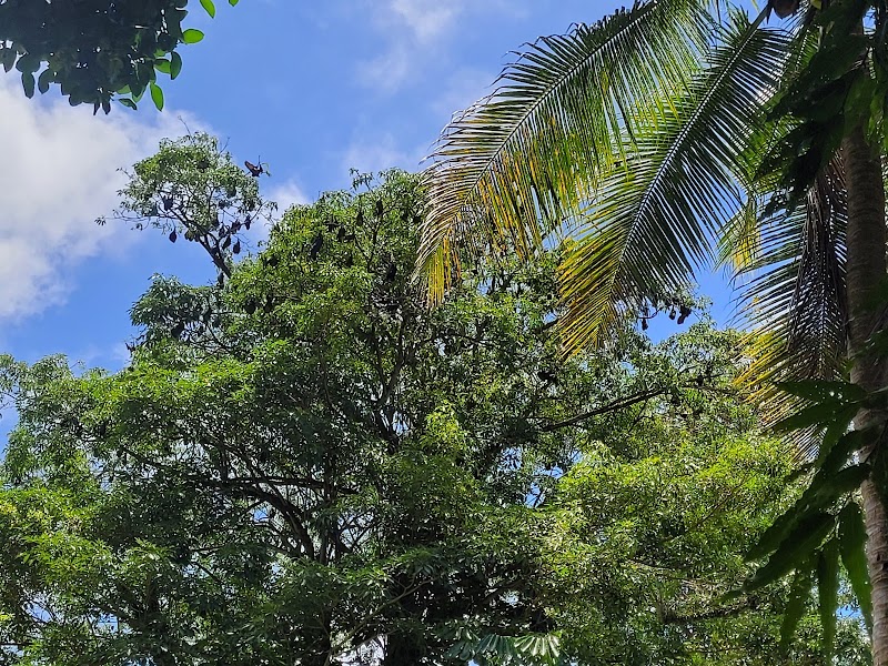 Photo 5 at Thurston Gardens in Suva
