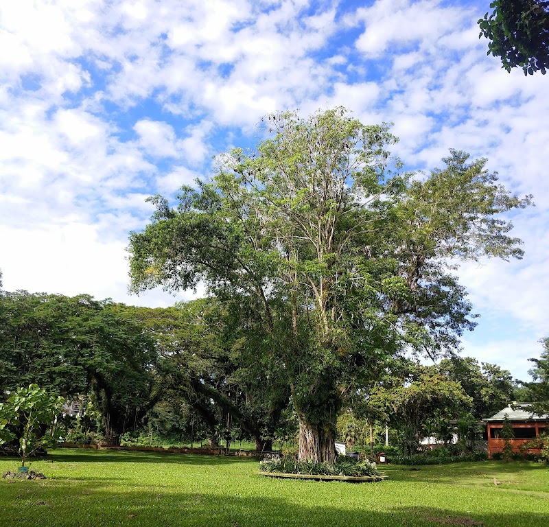Photo 3 at Thurston Gardens in Suva