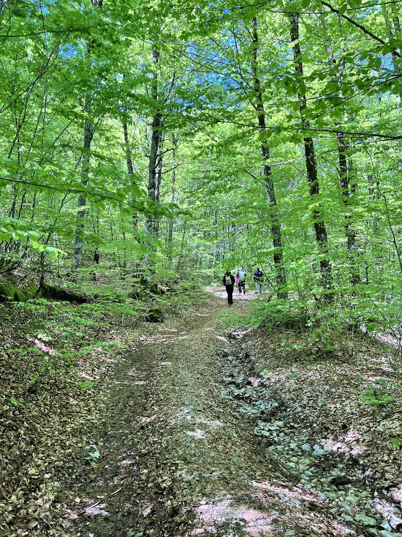 Photo 6 at Shebenik National Park in Qarrishtë