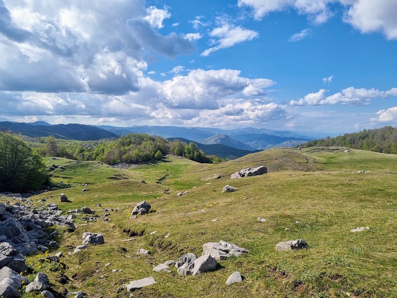 Photo 4 at Shebenik National Park in Qarrishtë
