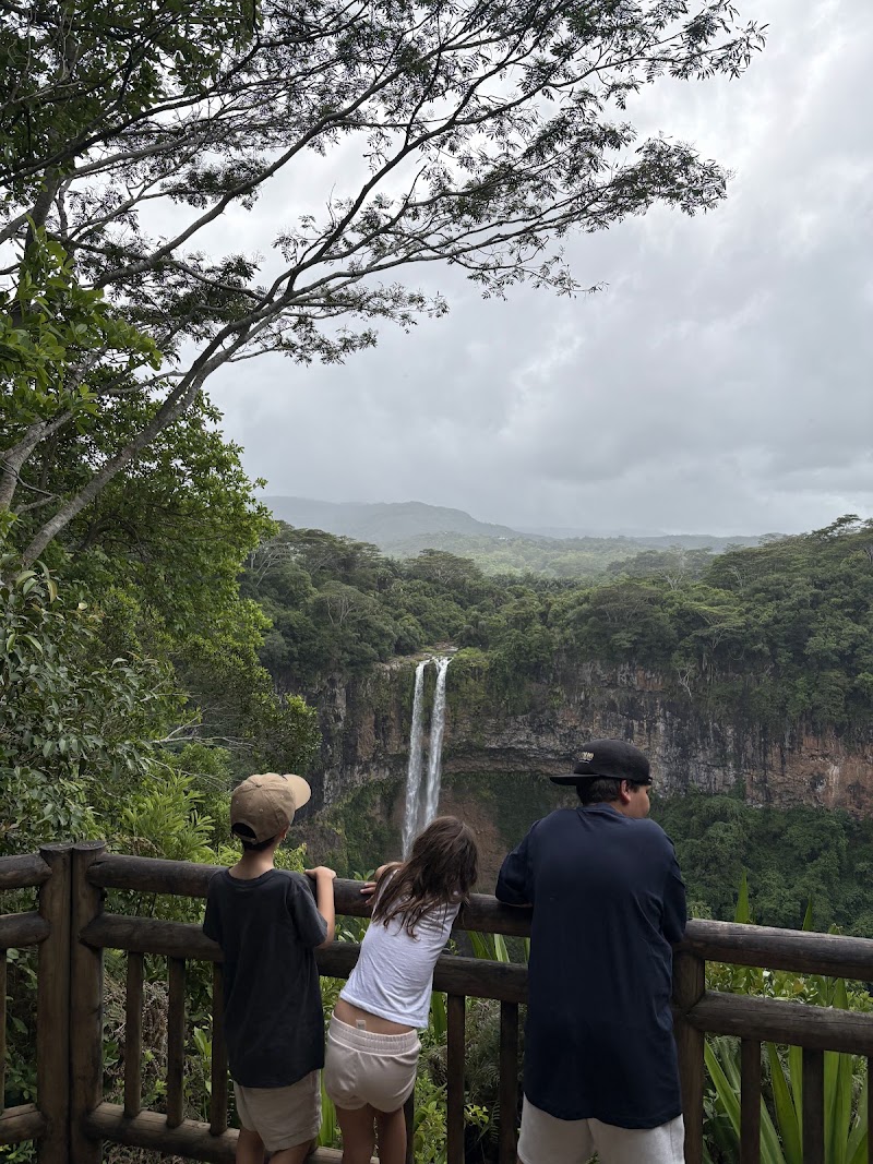 Photo 5 at Chamarel Waterfall in Chamarel