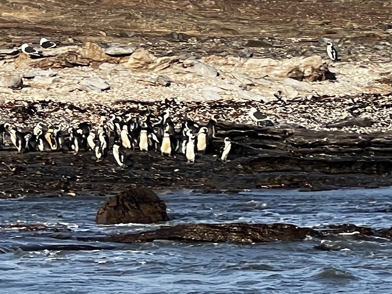 Photo 6 at Diaz Point Lighthouse in Luderitz