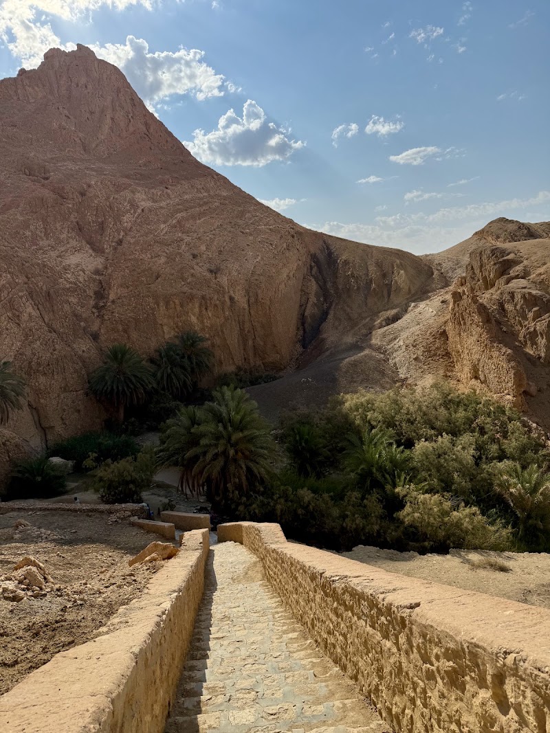 Photo 3 at Chebika Oasis in As-Sabikah
