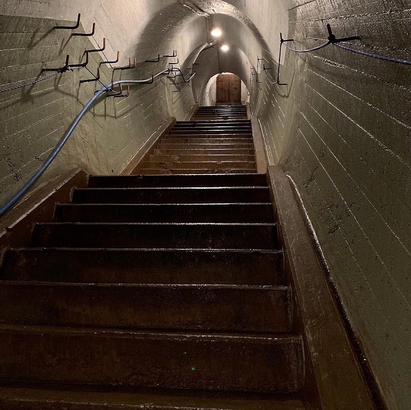 Photo 3 at Wrights Hill Fortress in Wellington