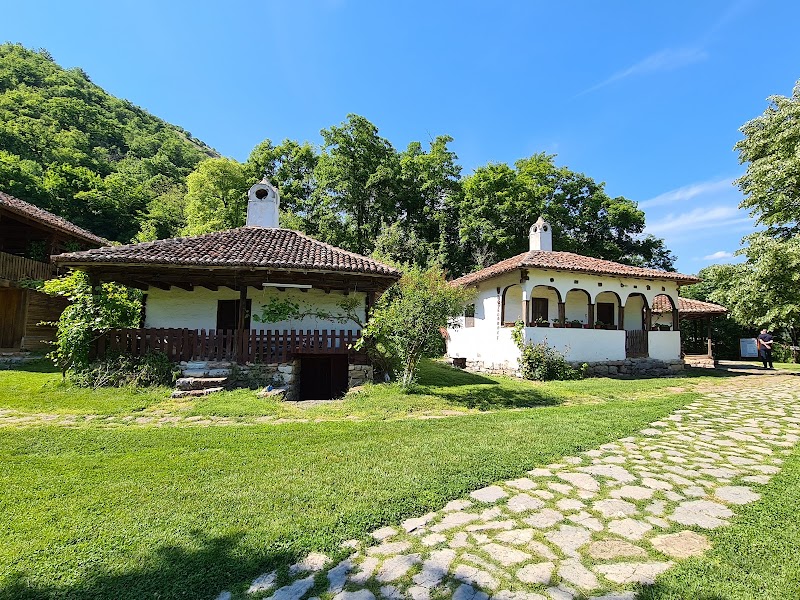 Photo 6 at Lepenski Vir archaeological site in Donji Milanovac