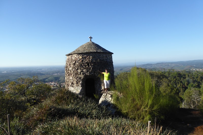 Photo 2 at Buçaco National Forest in Luso