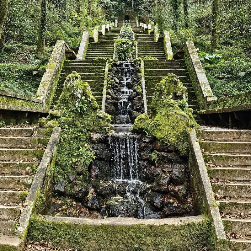 Buçaco National Forest in Luso