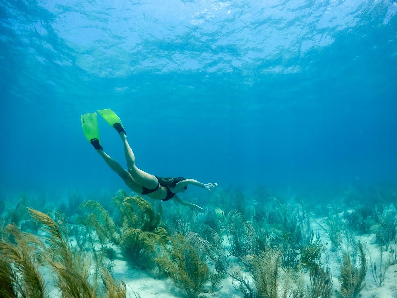 Barefoot Antigua - Private Boat Tours in St Mary's