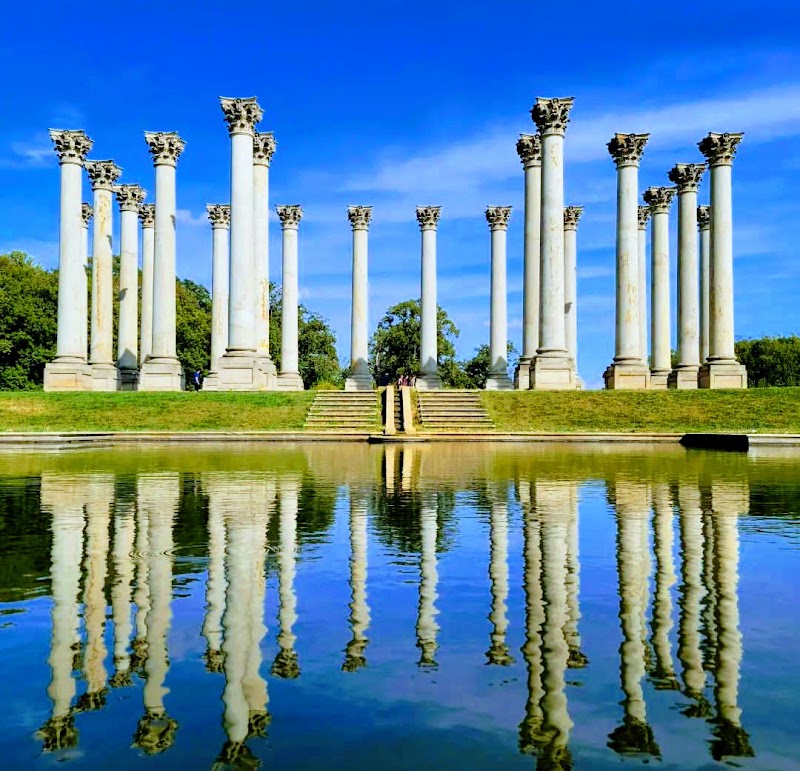 U.S. National Arboretum in Washington
