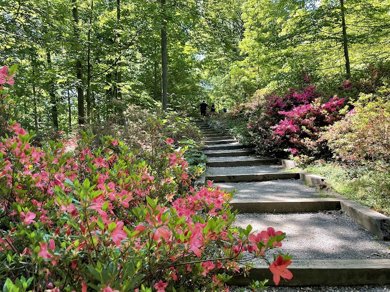 Photo 2 at U.S. National Arboretum in Washington