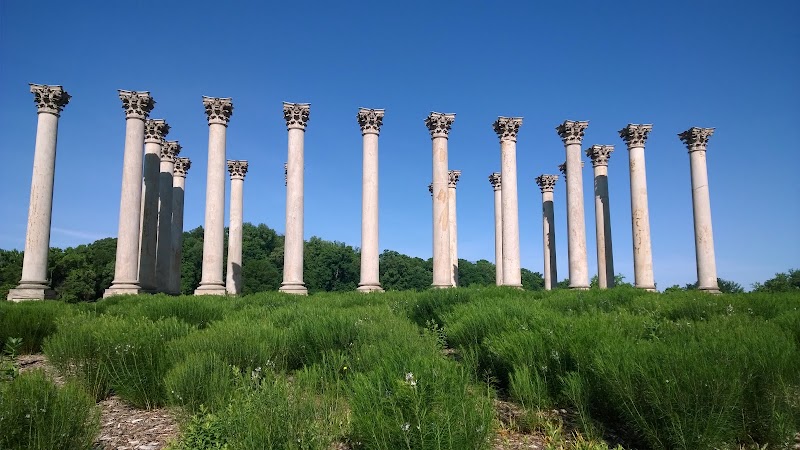 Photo 5 at U.S. National Arboretum in Washington