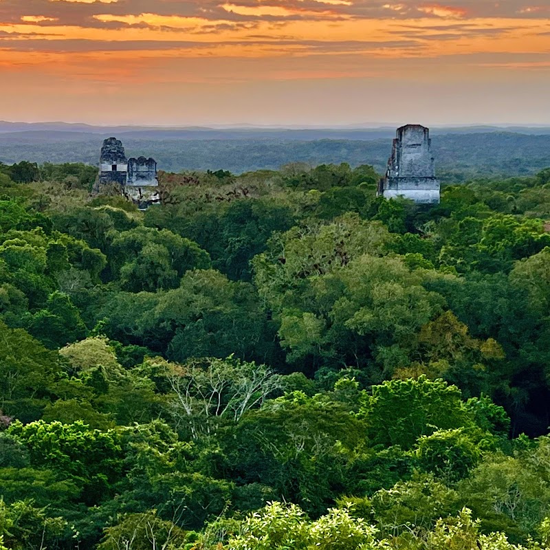 Photo 1 at Tikal National Park in Tikal