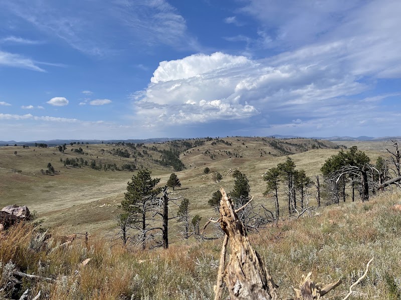 Photo 3 at Wind Cave National Park in 