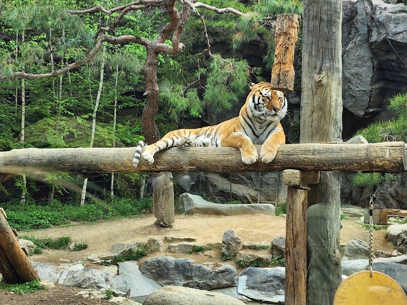 Photo 4 at Everland in Yongin-si