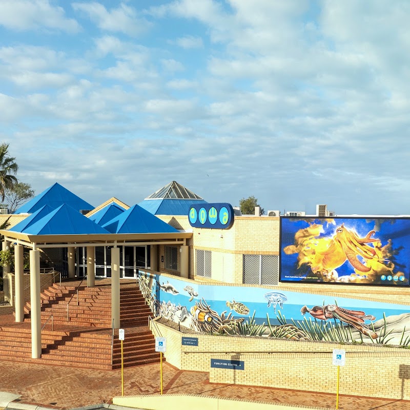 AQWA The Aquarium Of Western Australia in Hillarys