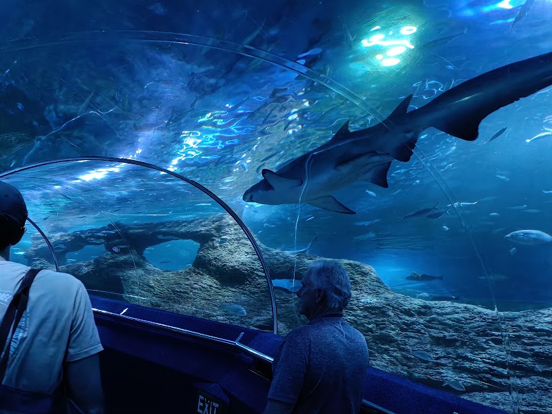 Photo 2 at AQWA The Aquarium Of Western Australia in Hillarys
