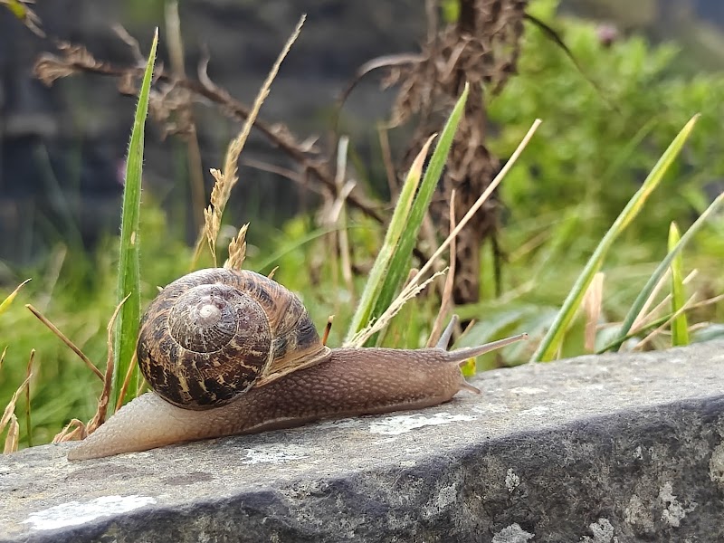 Photo 4 at Cliffs of Moher Experience in Liscannor