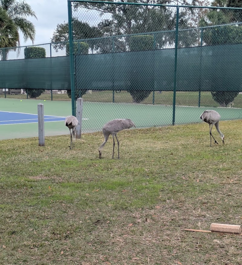 Photo 6 at Cypress Cove Nudist Resort in Kissimmee