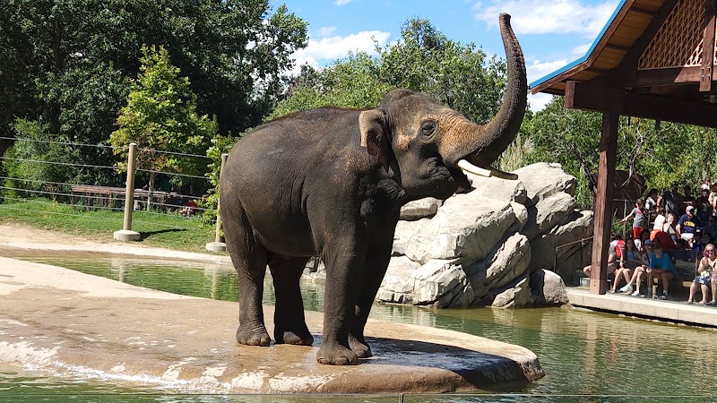 Photo 2 at Denver Zoo in Denver