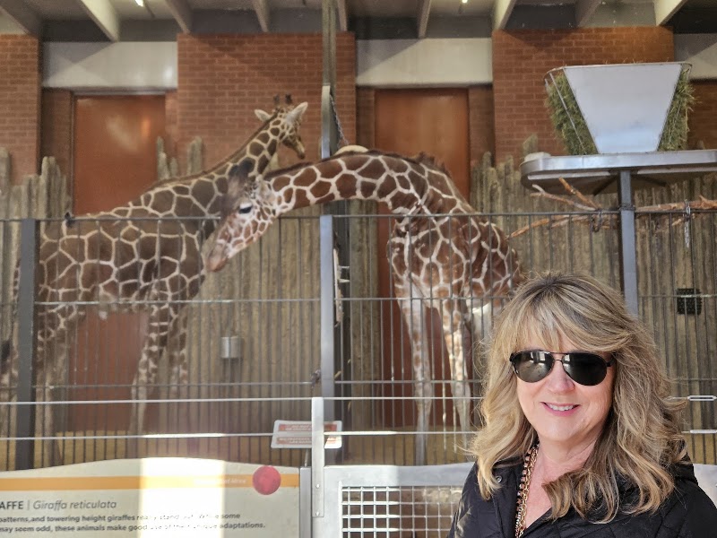Photo 6 at Denver Zoo in Denver