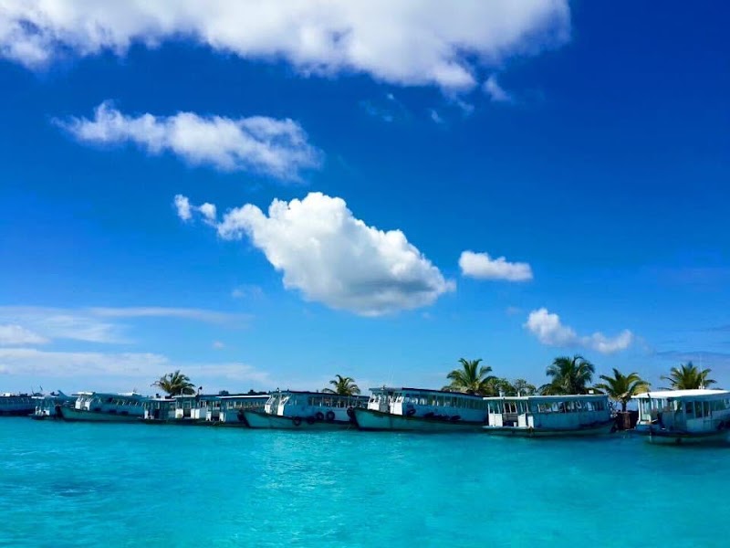 Photo 6 at Maldive Islands in 