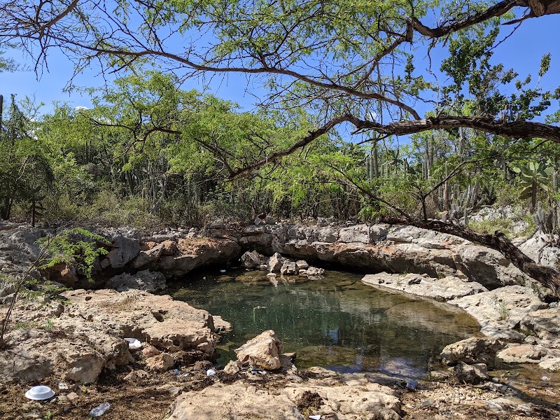 Photo 3 at Jaragua National Park in 